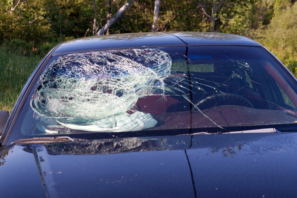 Shattered Safety: Emergency Auto Glass Repair and What Rock Hill Drivers Must Do Now 1 Auto Glass Repair 2